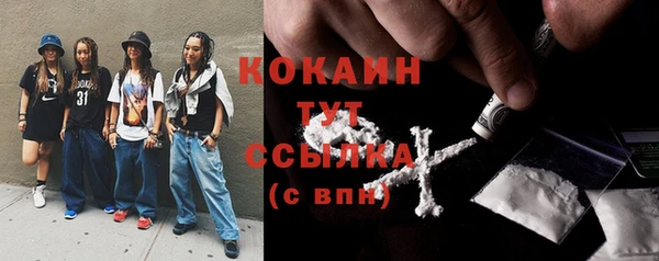 шишки Вязники