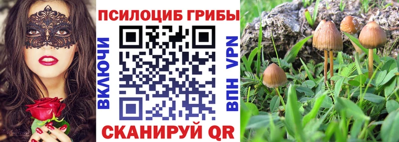 Псилоцибиновые грибы Magic Shrooms  Калтан 